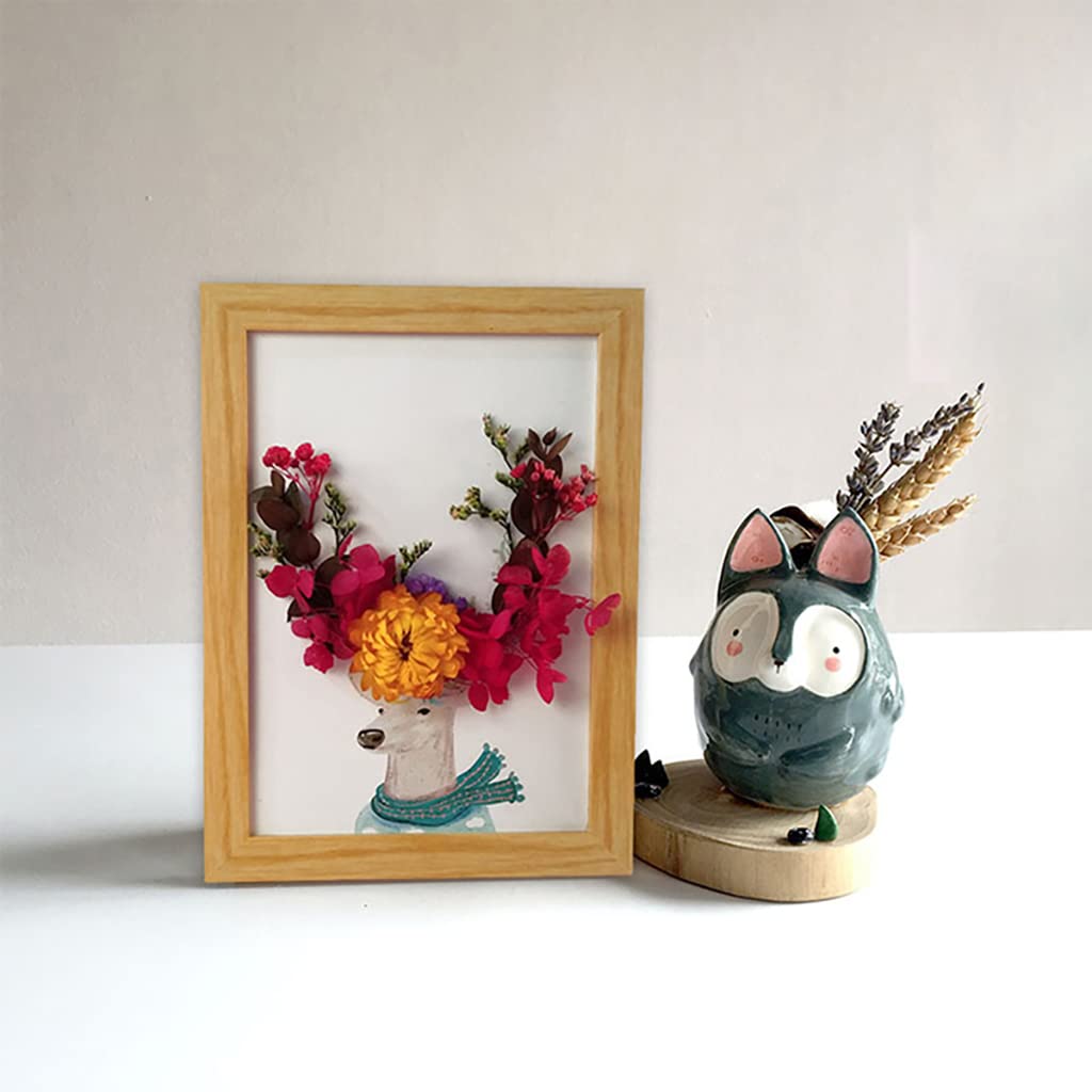 Supvox DIY Resin Art Decor Natural Dried Flower Set for Resin Art Scented Candle Decor Photo Frame Ornament Room Decoration(Orange) Supvox DIY Resin Art Decor Natural Dried Flower Set for Resin Art Scented Candle Decor Photo Frame Ornament Room Decoration(Orange)